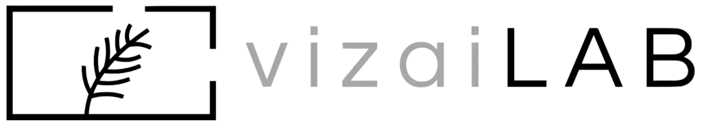 logo vizailab 01 copia trasp