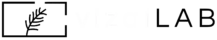 logo vizailab