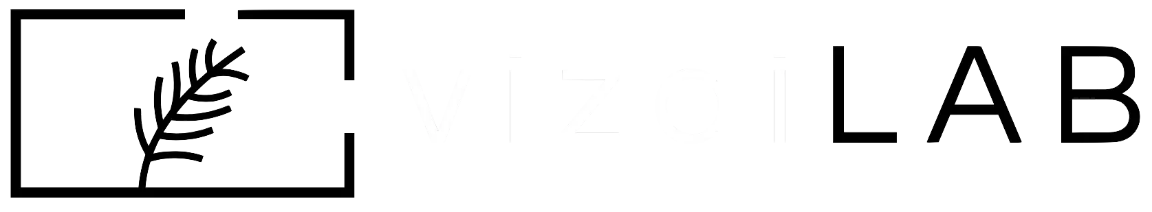 logo vizailab